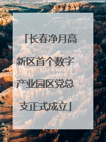 长春净月高新区首个数字产业园区党总支正式成立