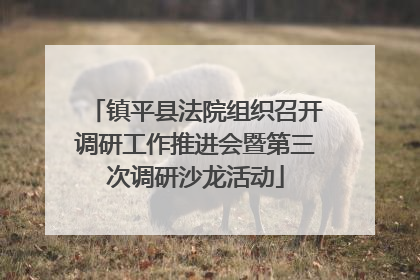 镇平县法院组织召开调研工作推进会暨第三次调研沙龙活动