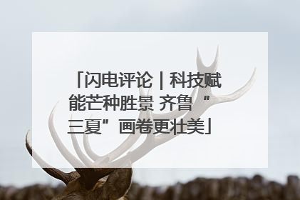 闪电评论｜科技赋能芒种胜景 齐鲁“三夏”画卷更壮美