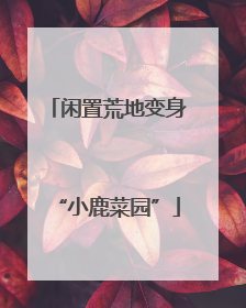 闲置荒地变身“小鹿菜园”