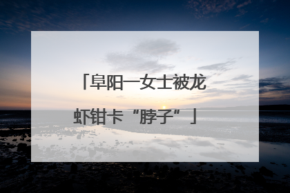阜阳一女士被龙虾钳卡“脖子”