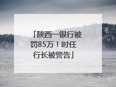 陕西一银行被罚85万！时任行长被警告