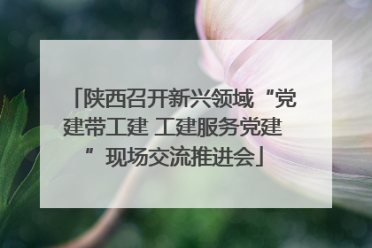 陕西召开新兴领域“党建带工建 工建服务党建”现场交流推进会