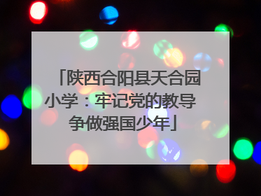 陕西合阳县天合园小学：牢记党的教导 争做强国少年