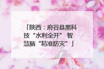 陕西：府谷县黑科技“水利全开” 智慧脑“精准防灾”
