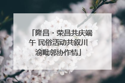 隆昌・荣昌共庆端午 民俗活动共叙川渝毗邻协作情