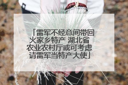 雷军不经意间带回火家乡特产 湖北省农业农村厅或可考虑请雷军当特产大使
