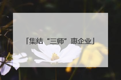 集结“三师”惠企业