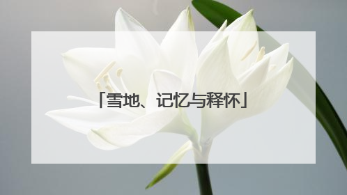 雪地、记忆与释怀