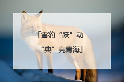 雪豹“跃”动 “典”亮青海