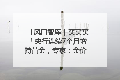 风口智库｜买买买！央行连续7个月增持黄金，专家：金价或仍易涨难跌