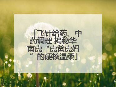 飞针给药、中药调理 揭秘华南虎“虎爸虎妈”的硬核温柔
