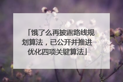饿了么再披露路线规划算法，已公开并推进优化四项关键算法