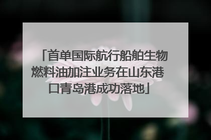 首单国际航行船舶生物燃料油加注业务在山东港口青岛港成功落地