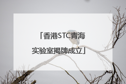 香港STC青海实验室揭牌成立
