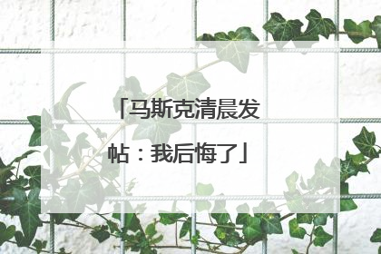 马斯克清晨发帖：我后悔了