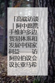 高端访谈｜阿中愿携手维护多边贸易体系和发展中国家利益——访阿拉伯议会议长亚马希