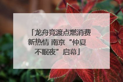 龙舟竞渡点燃消费新热情 南京“仲夏不眠夜”启幕