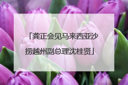 龚正会见马来西亚沙捞越州副总理沈桂贤
