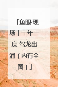 鱼眼·现场丨一年一度 驾龙出涌（内有全图）