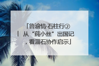 鲁渝情·石柱行② ︳从“莼小丝”出国记，看淄石协作启示