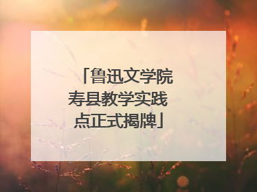 鲁迅文学院寿县教学实践点正式揭牌