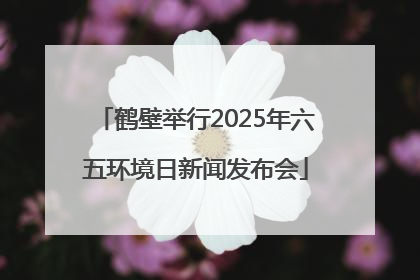 鹤壁举行2025年六五环境日新闻发布会