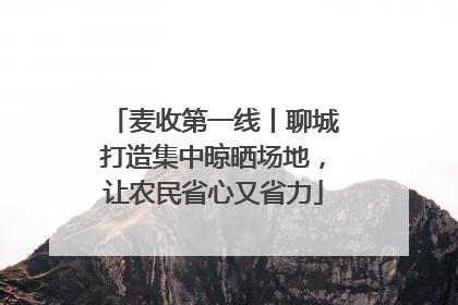 麦收第一线丨聊城打造集中晾晒场地，让农民省心又省力