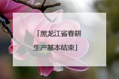 黑龙江省春耕生产基本结束