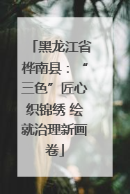 黑龙江省桦南县：“三色”匠心织锦绣 绘就治理新画卷
