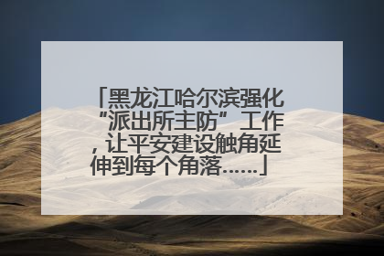 黑龙江哈尔滨强化“派出所主防”工作，让平安建设触角延伸到每个角落……