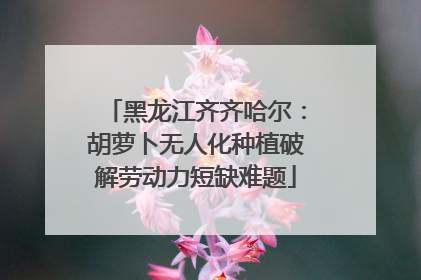 黑龙江齐齐哈尔：胡萝卜无人化种植破解劳动力短缺难题