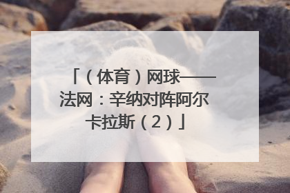 （体育）网球——法网：辛纳对阵阿尔卡拉斯（2）