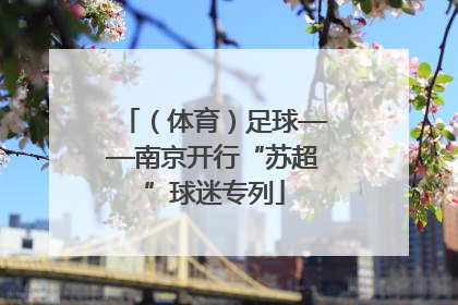 （体育）足球——南京开行“苏超”球迷专列
