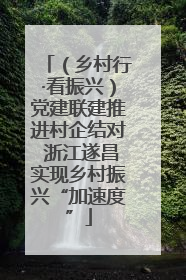 （乡村行·看振兴）党建联建推进村企结对 浙江遂昌实现乡村振兴“加速度”