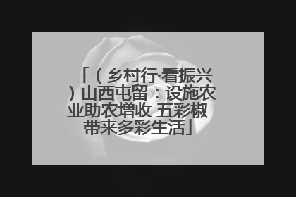 （乡村行·看振兴）山西屯留：设施农业助农增收 五彩椒带来多彩生活