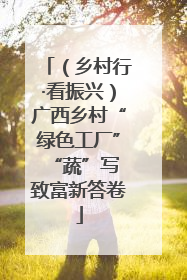 （乡村行·看振兴）广西乡村“绿色工厂” “蔬”写致富新答卷