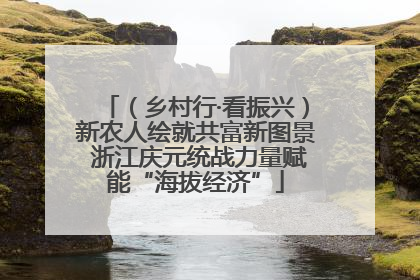 （乡村行·看振兴）新农人绘就共富新图景 浙江庆元统战力量赋能“海拔经济”