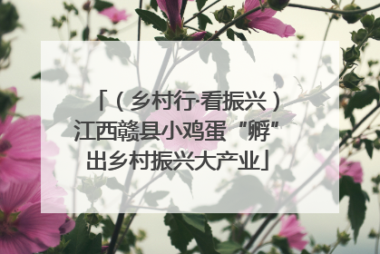（乡村行·看振兴）江西赣县小鸡蛋“孵”出乡村振兴大产业