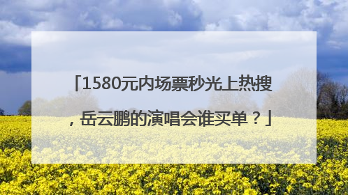 1580元内场票秒光上热搜，岳云鹏的演唱会谁买单？