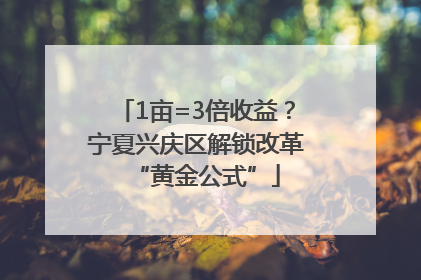 1亩=3倍收益？宁夏兴庆区解锁改革“黄金公式”