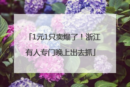 1元1只卖爆了！浙江有人专门晚上出去抓