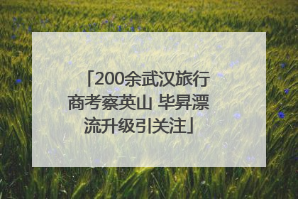 200余武汉旅行商考察英山 毕昇漂流升级引关注