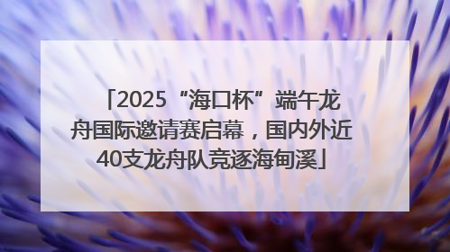 2025“海口杯”端午龙舟国际邀请赛启幕，国内外近40支龙舟队竞逐海甸溪