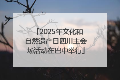 2025年文化和自然遗产日四川主会场活动在巴中举行