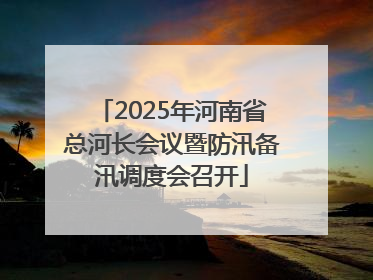 2025年河南省总河长会议暨防汛备汛调度会召开