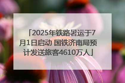 2025年铁路暑运于7月1日启动 国铁济南局预计发送旅客4610万人