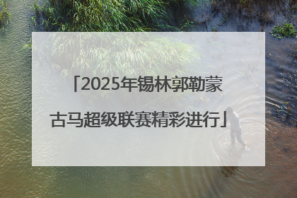 2025年锡林郭勒蒙古马超级联赛精彩进行