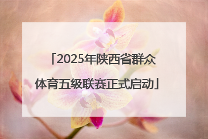 2025年陕西省群众体育五级联赛正式启动