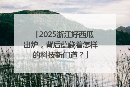 2025浙江好西瓜出炉，背后蕴藏着怎样的科技新门道？